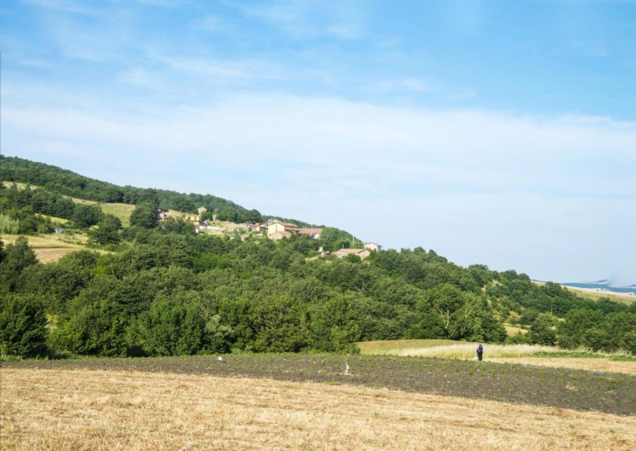 Le Pitture Casa Di Campagna Filiano Exteriör bild
