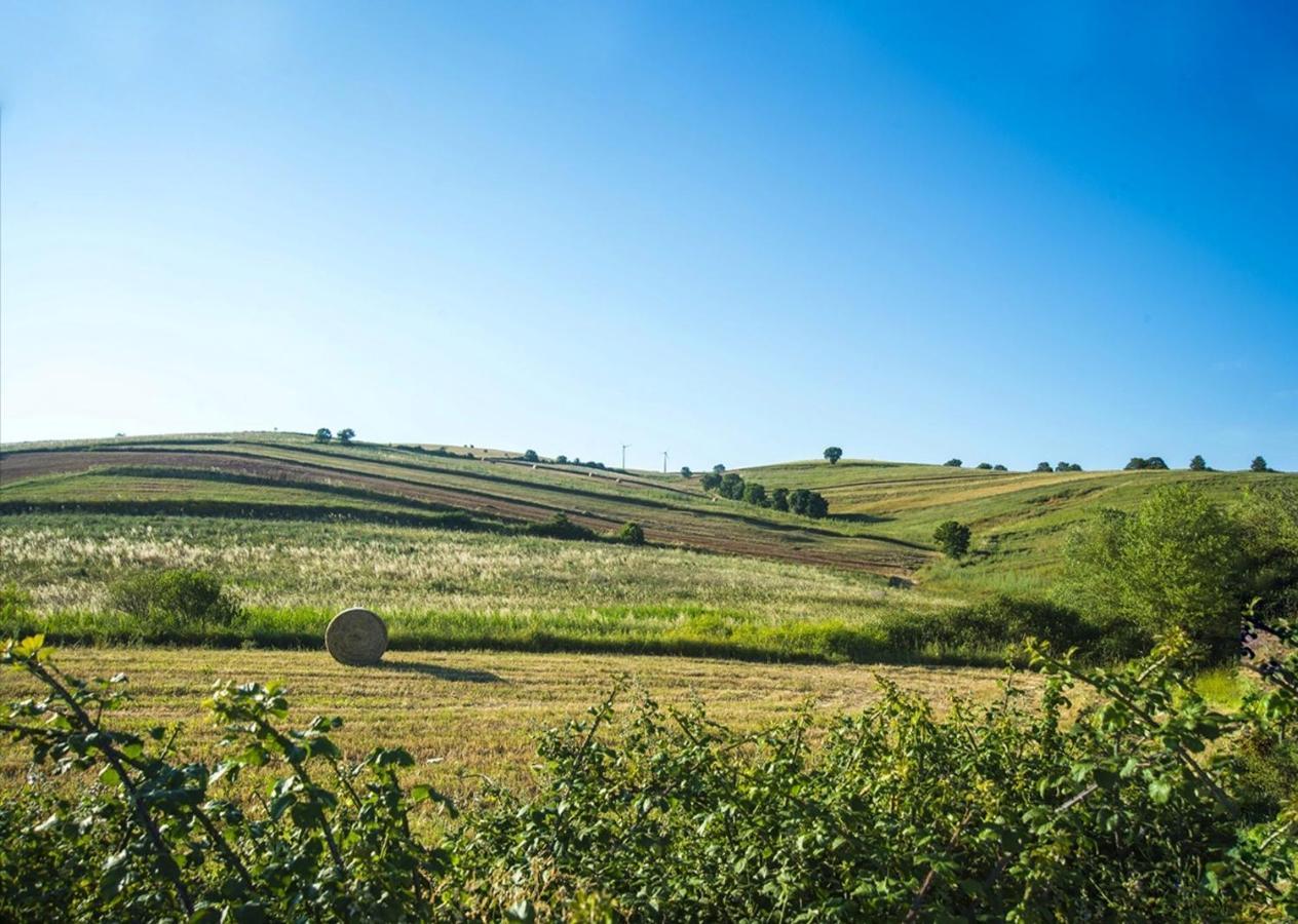 Le Pitture Casa Di Campagna Filiano Exteriör bild