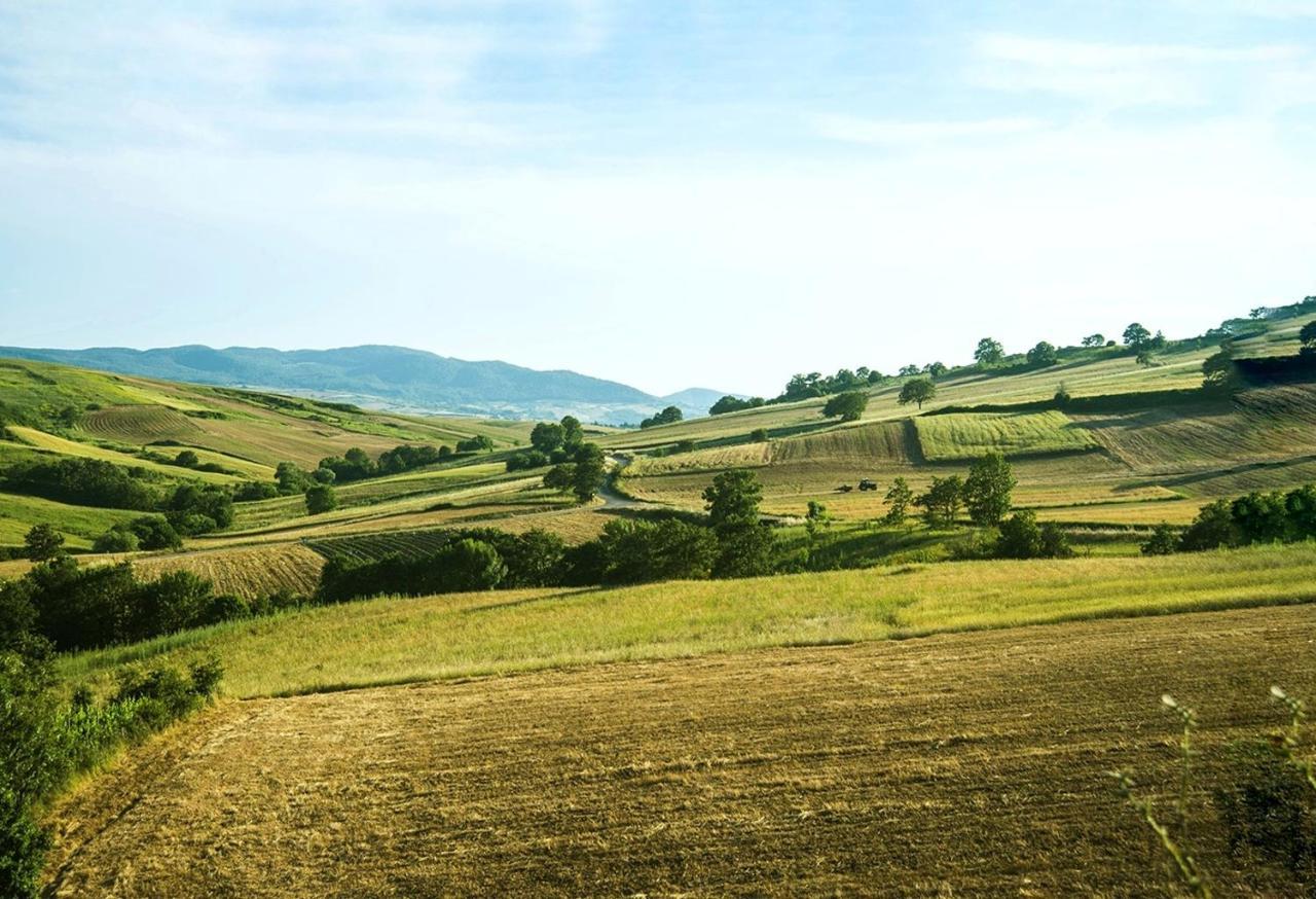 Le Pitture Casa Di Campagna Filiano Exteriör bild